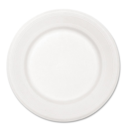 Chinet Dinnerware Plate, Dspbl, 10-1/2", Wh, PK500 HUH21217